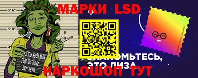 spice Краснокаменск