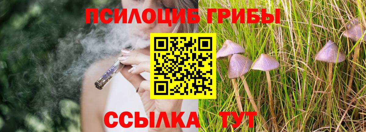 Галлюциногенные грибы ЛСД  Вход с VPN  Псилоцибиновые грибы Psilocybine cubensis  Ишимбай 